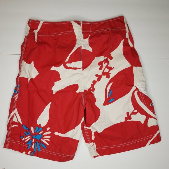 American Eagle Outfitters Swim American Eagle Outfitters Swim Trunks